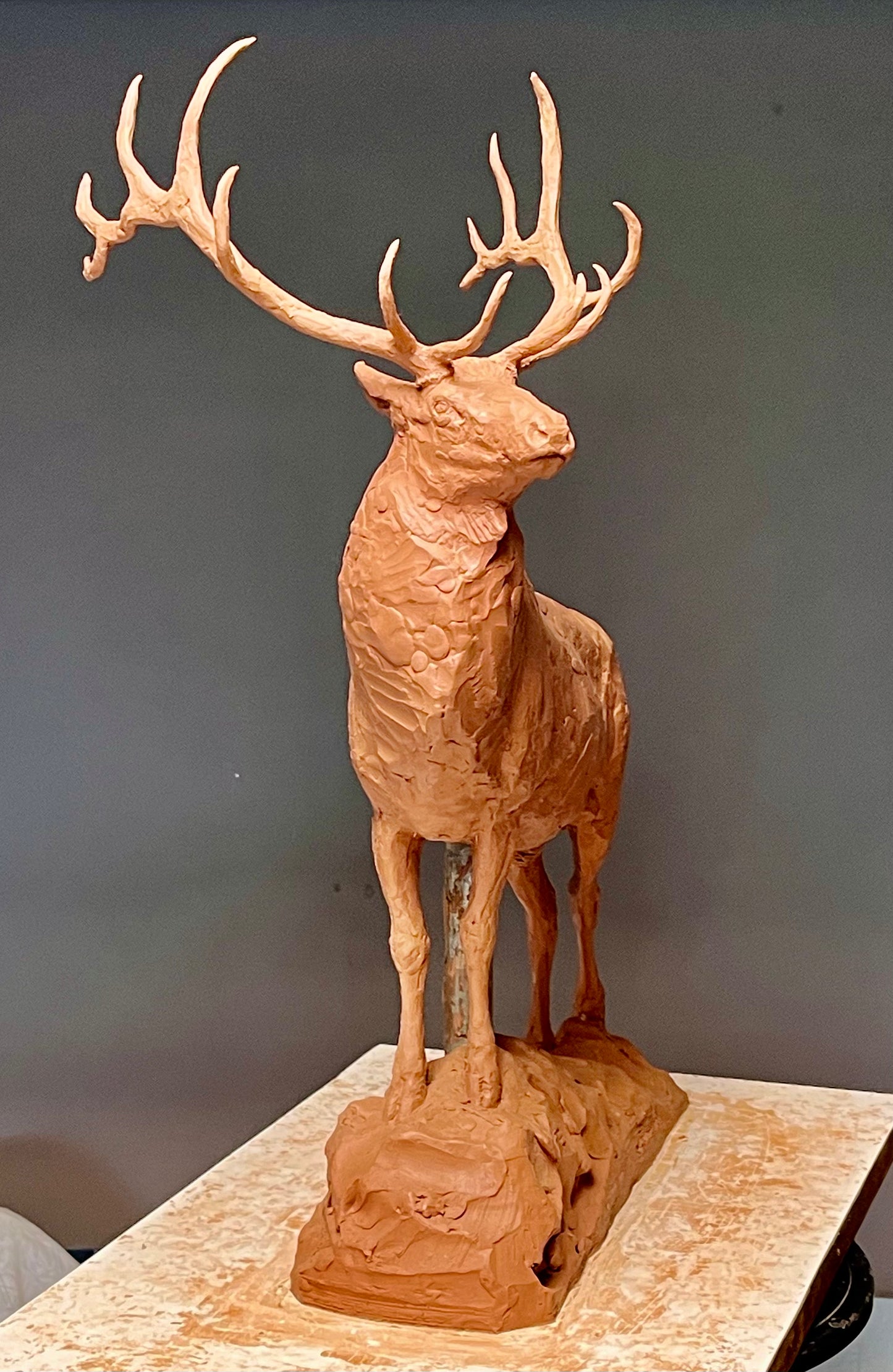 Precast offer on Bull Elk