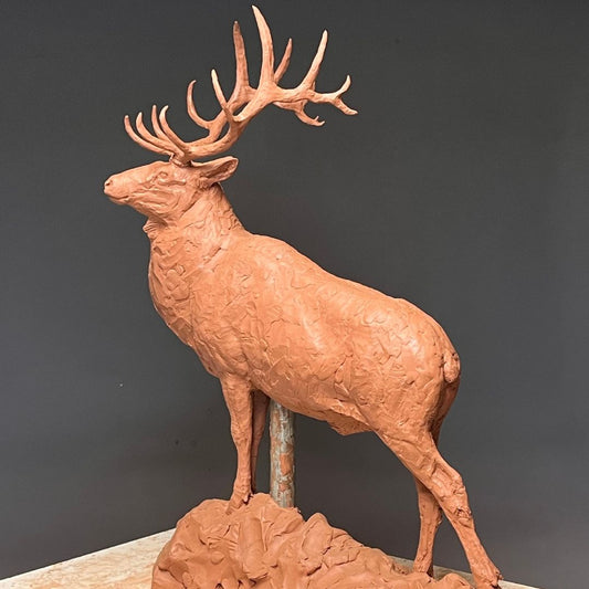Precast offer on Bull Elk