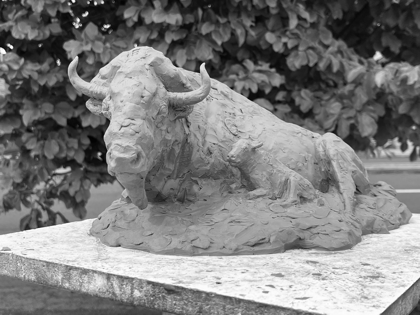 Precast offer on Bison & Calf