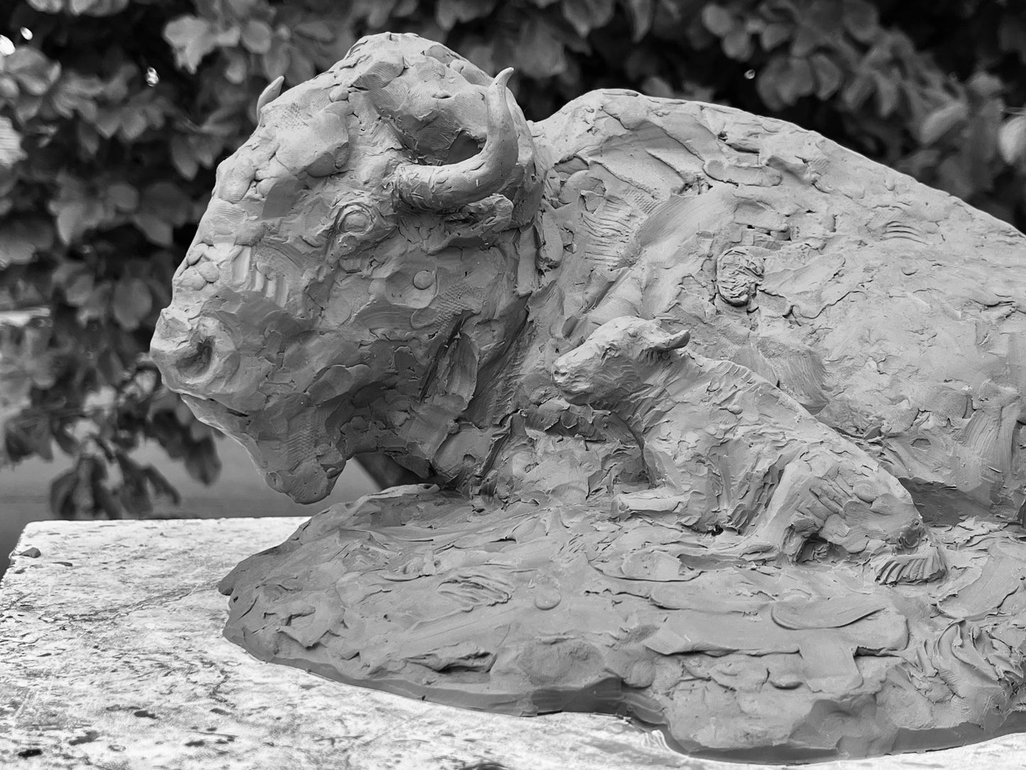 Precast offer on Bison & Calf