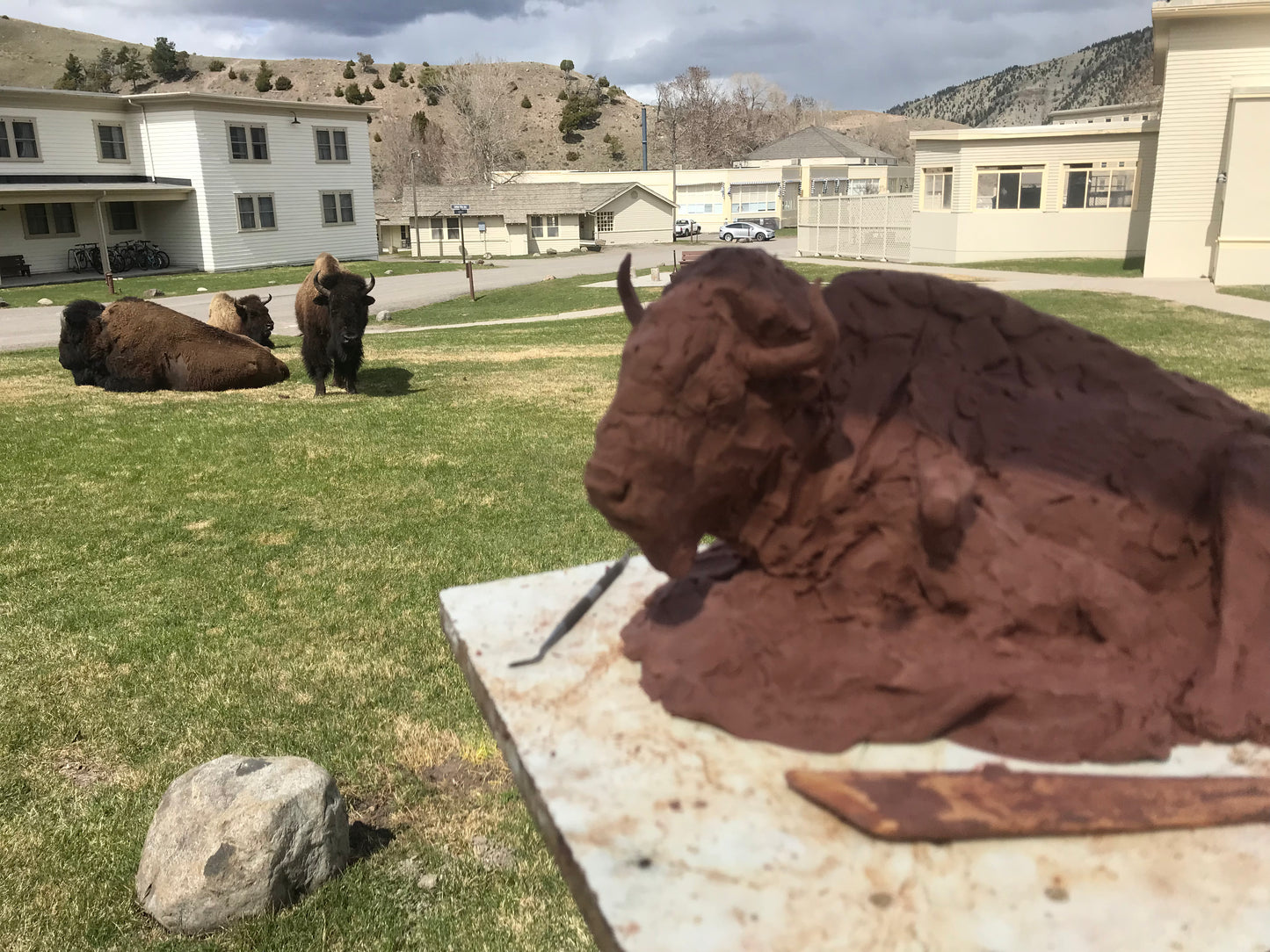 Precast offer on Bison & Calf