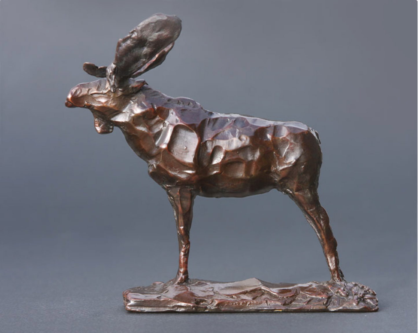 “New Crown” – Bull Moose Sculpture